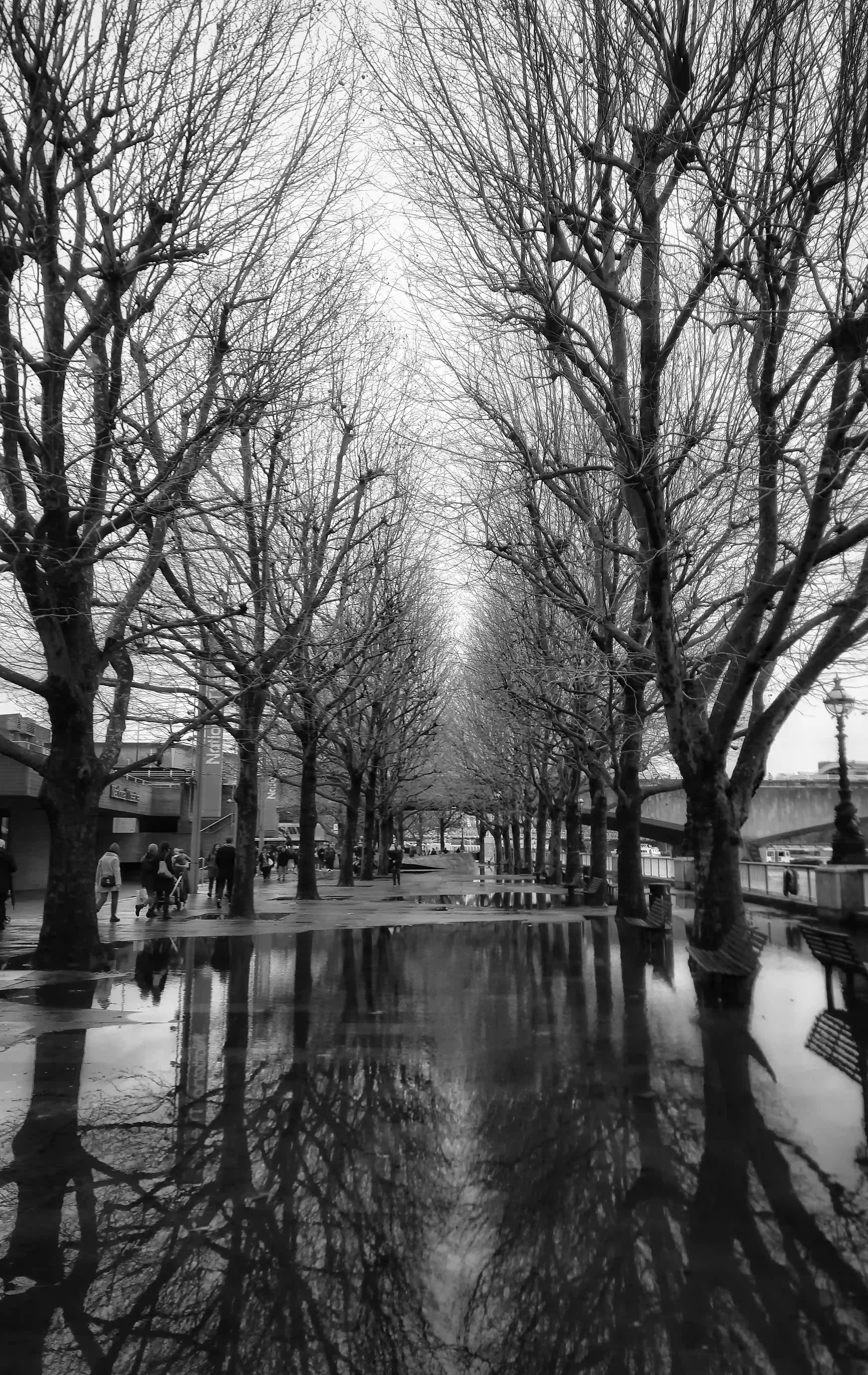 London 6